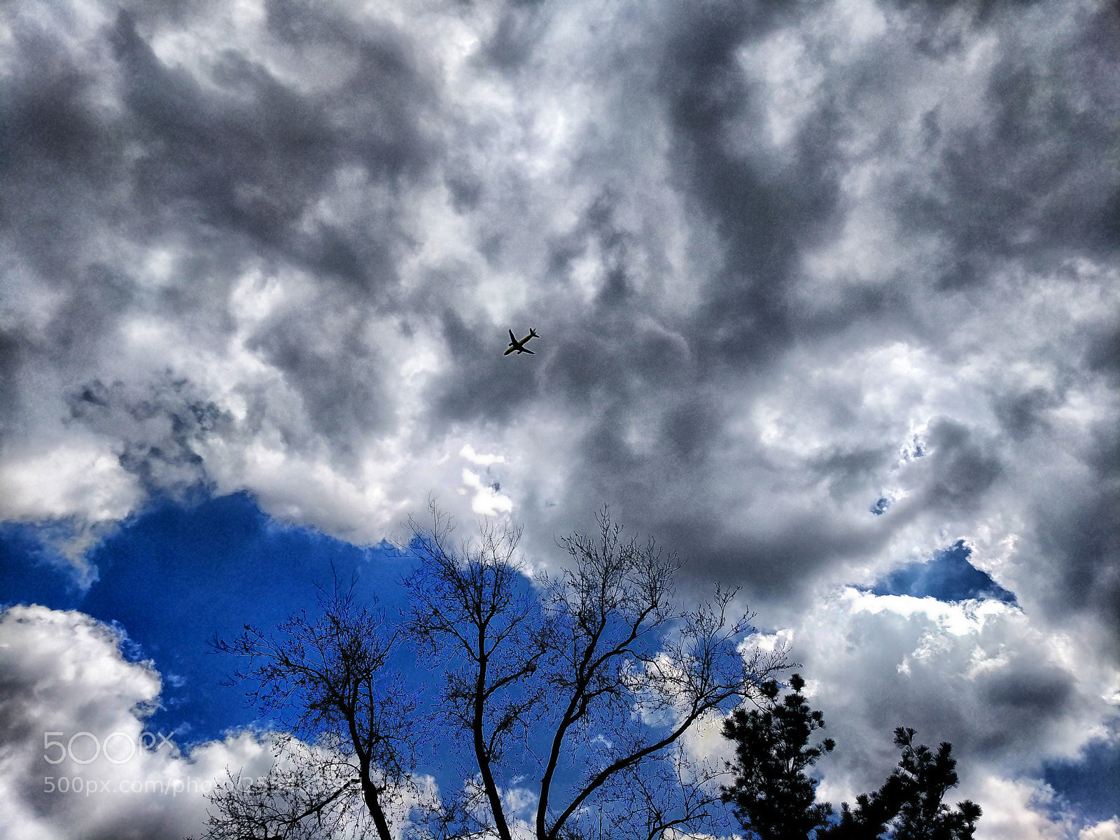 Google Pixel XL sample photo. Airplane tree clouds photography