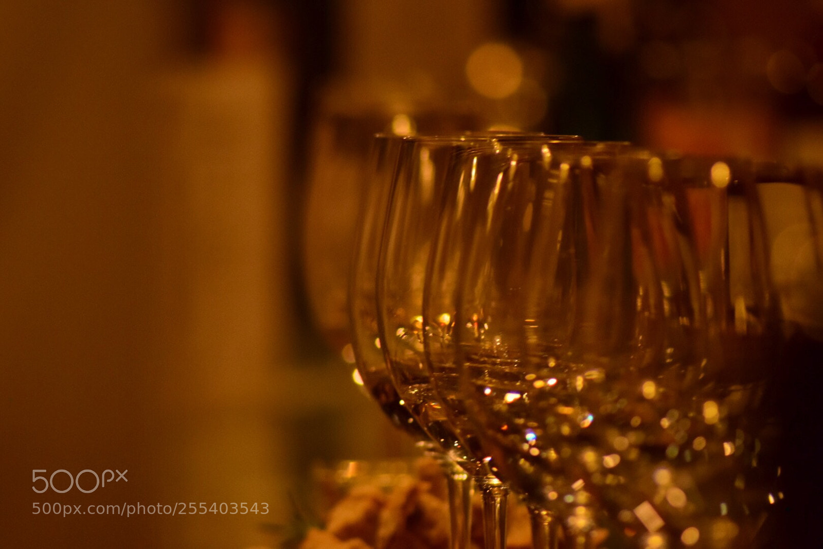 Nikon D5300 sample photo. Untitled photography