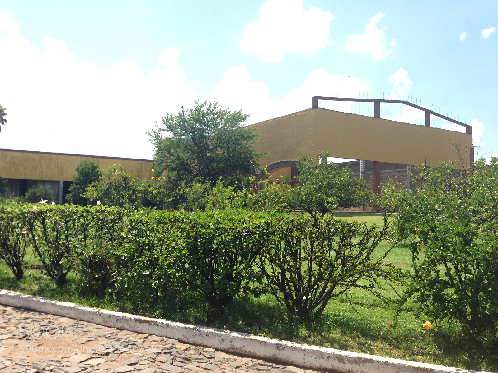 Apple iPhone 5 sample photo. Img photography