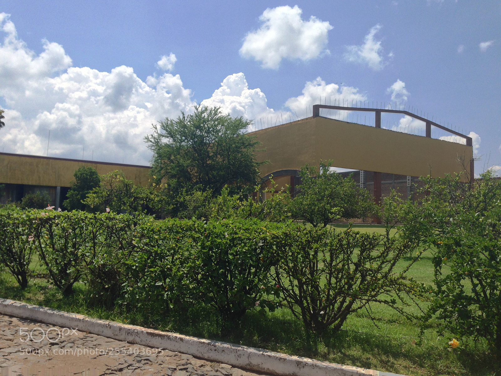 Apple iPhone 5 sample photo. Img photography