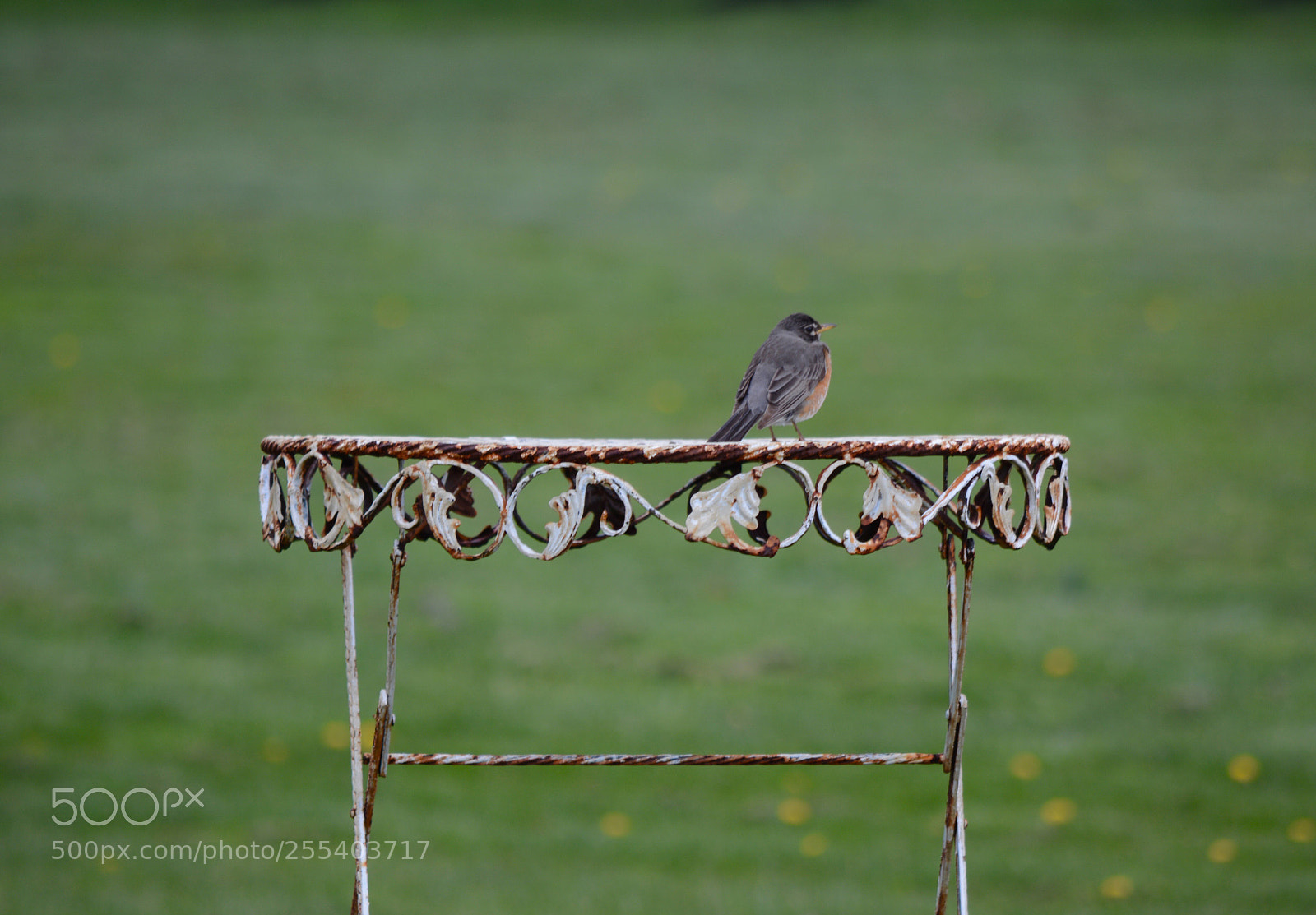 Nikon D7100 sample photo. Untitled photography