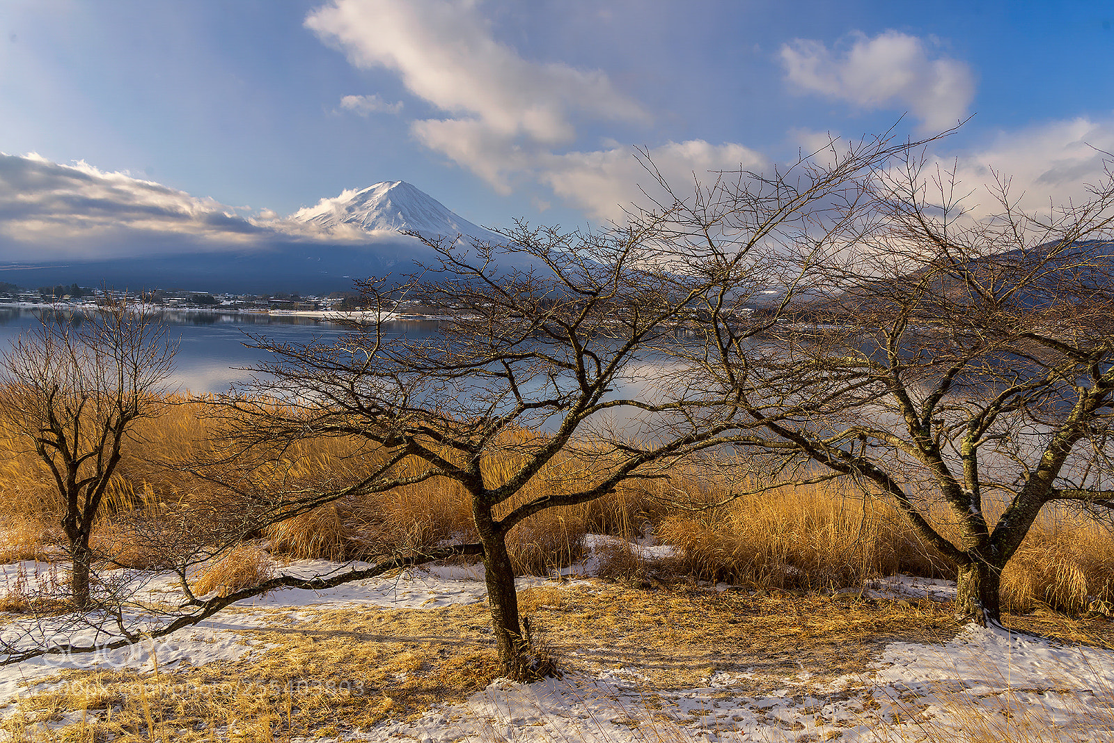 Nikon D610 sample photo. Winter fuji san photography