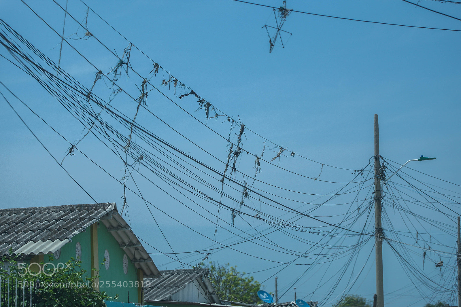 Canon EOS-1D Mark III sample photo. Awc photography
