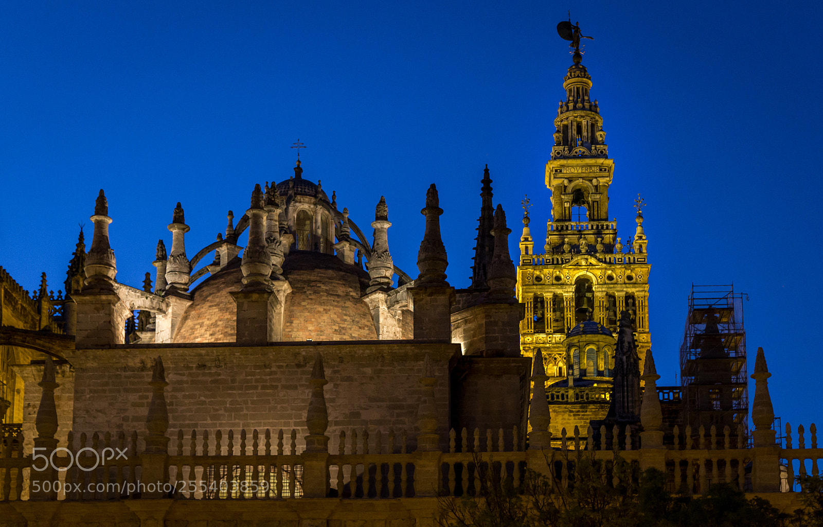 Canon EOS 6D sample photo. Sevilla cathedral roof at photography