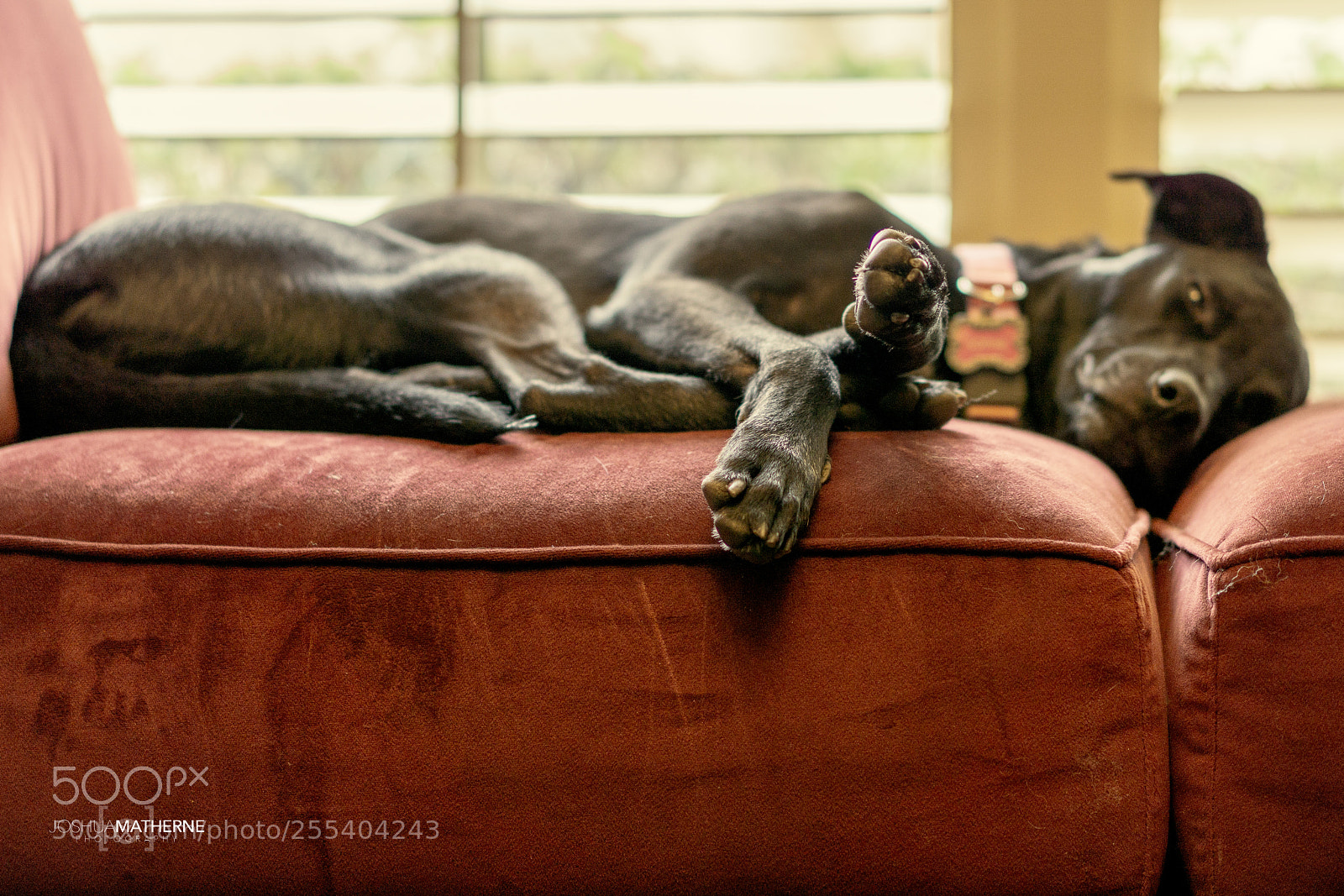 Sony a6000 sample photo. Do not disturb photography