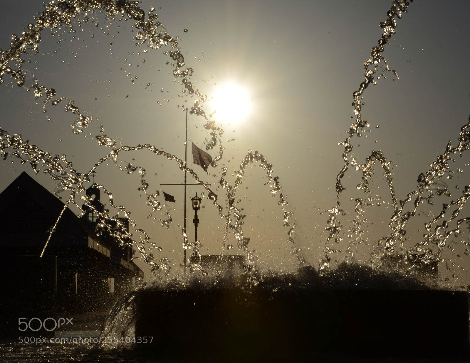 Nikon D7000 sample photo. Dsc photography