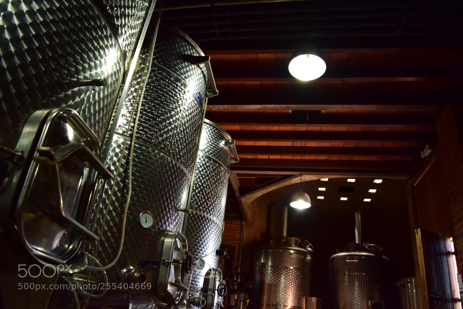 Nikon D5300 sample photo. Untitled photography