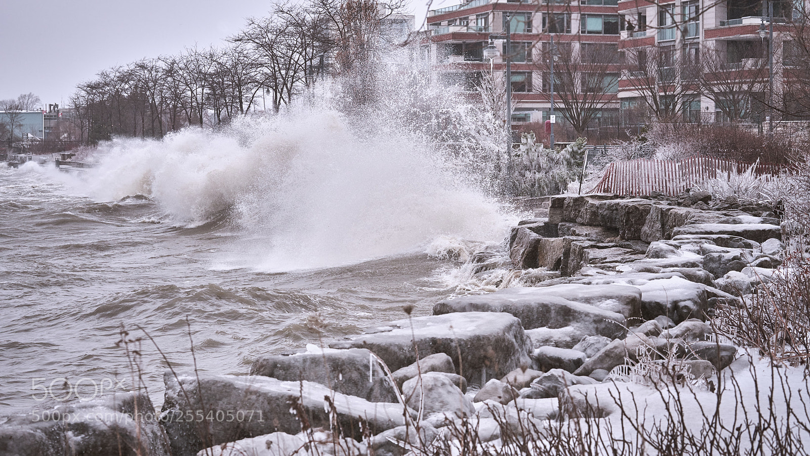 Sony a7R III sample photo. Gust of wind photography