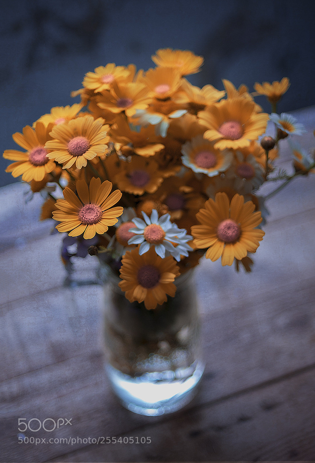 Fujifilm X-E1 sample photo. As smart object photography