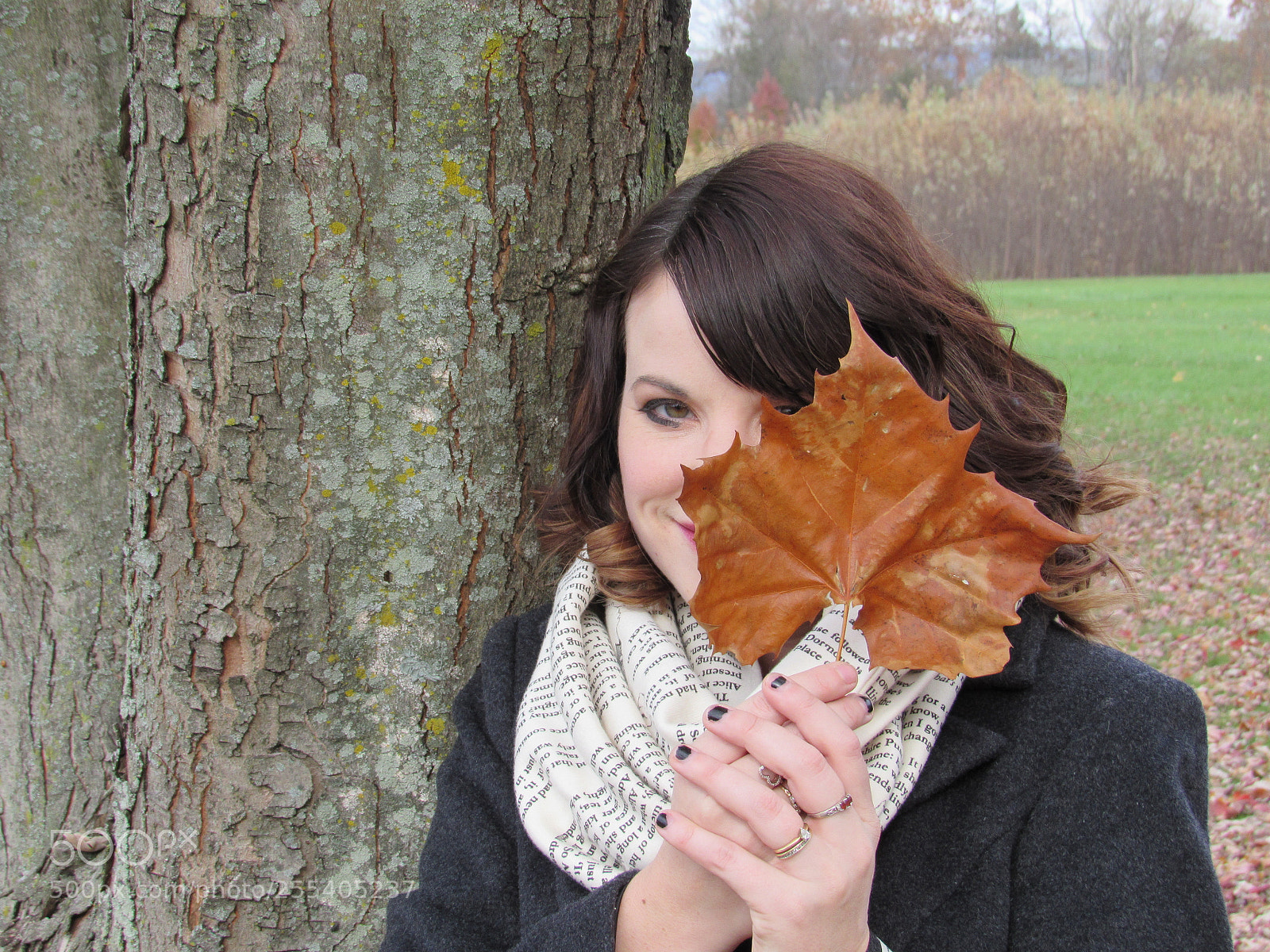 Canon PowerShot SX530 HS sample photo. Fall leaf photography