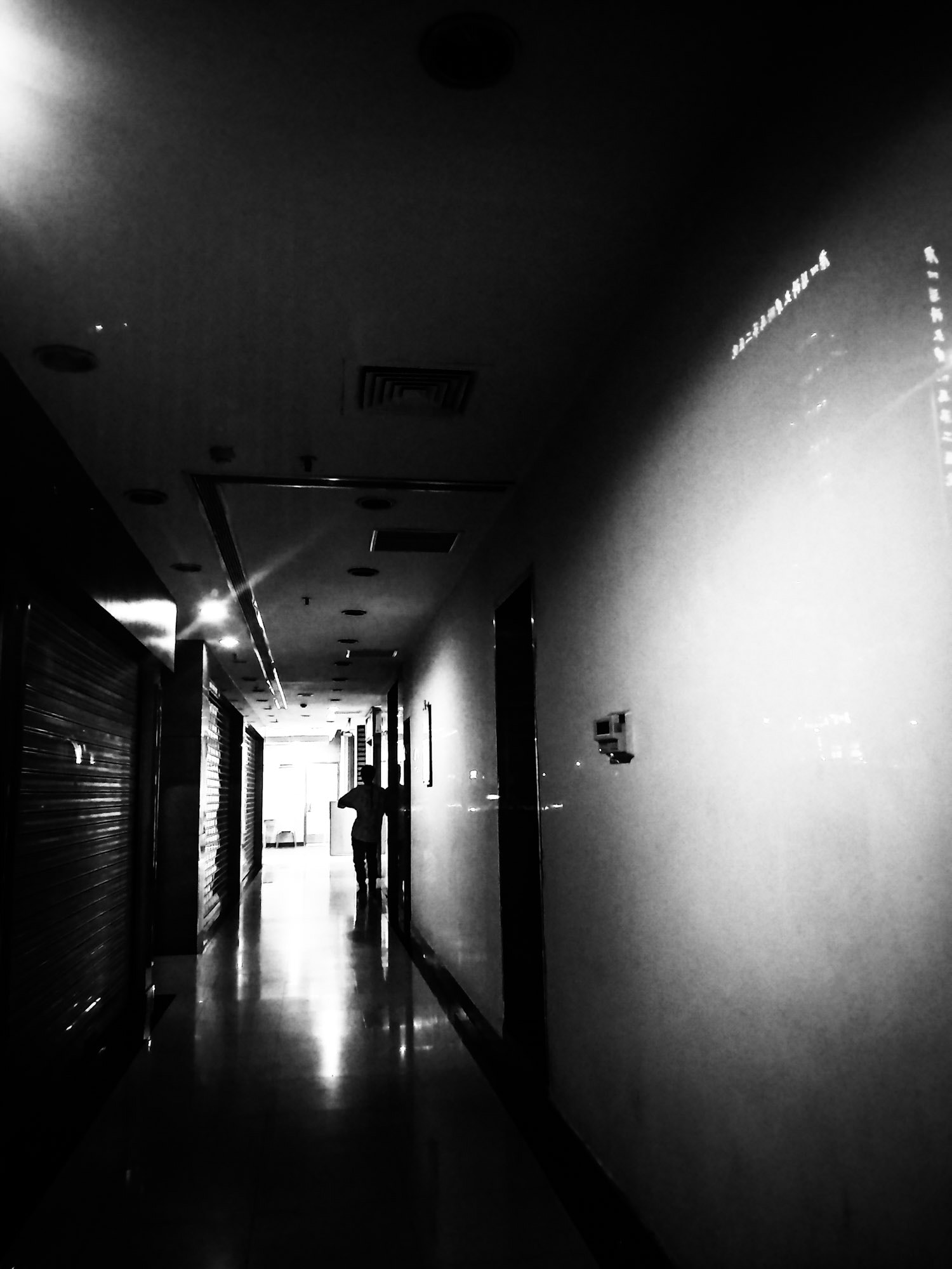 Xiaomi MI MAX 2 sample photo