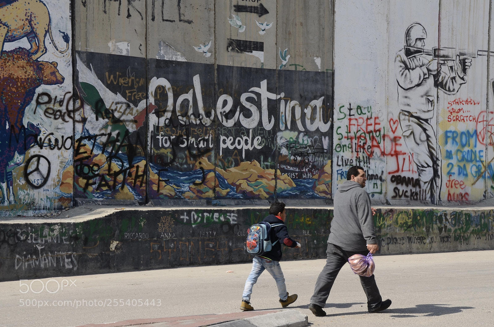 Nikon D5100 sample photo. Palestina photography
