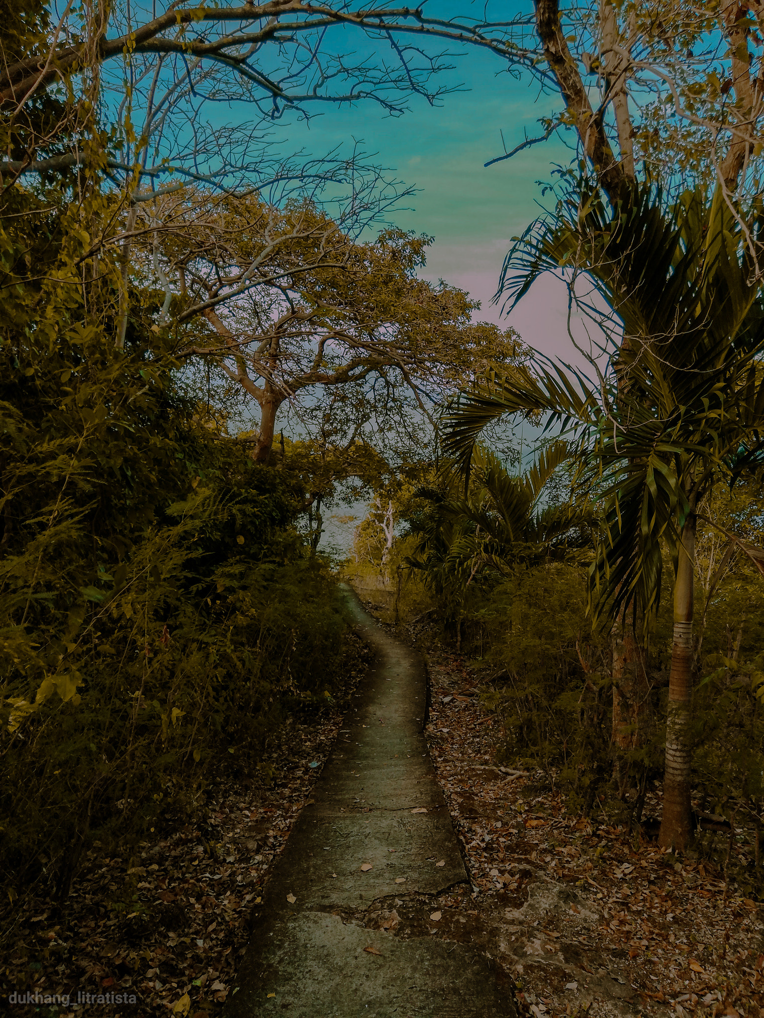 HUAWEI nova 2i sample photo. Path to paradise photography