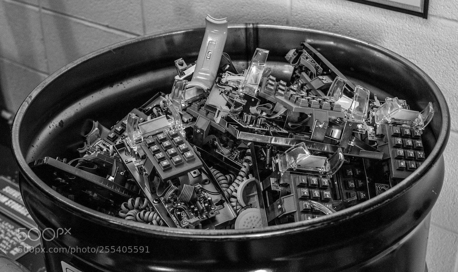 Nikon D5600 sample photo. Junk photography
