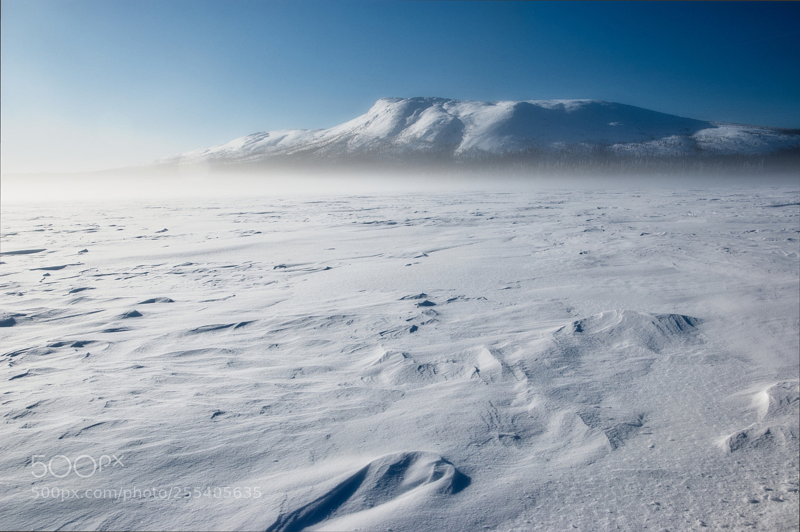 Nikon D70s sample photo. Morning mist photography