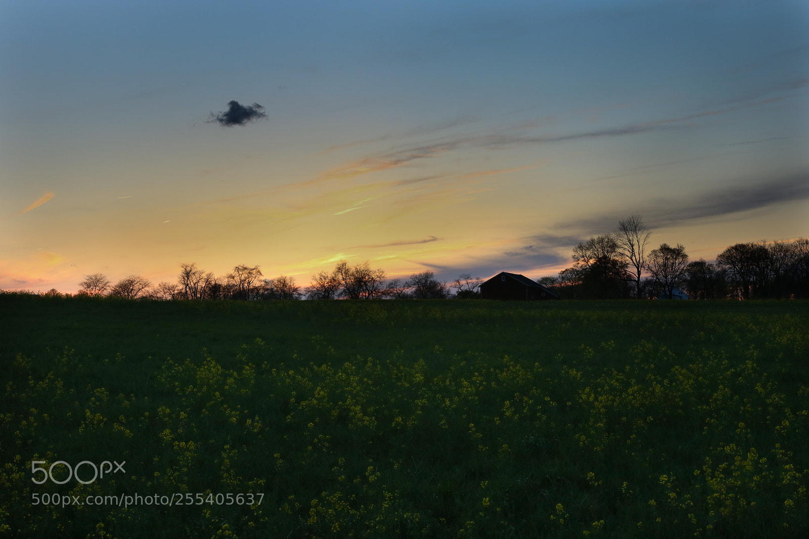 Canon EOS 750D (EOS Rebel T6i / EOS Kiss X8i) sample photo. Sunset scene photography