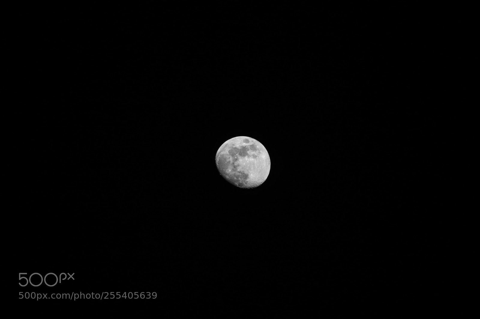 Canon EOS 750D (EOS Rebel T6i / EOS Kiss X8i) sample photo. Moon photography