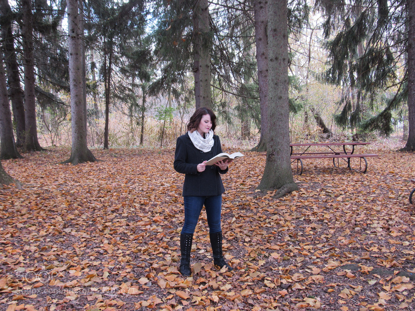 Canon PowerShot SX530 HS sample photo. Reading in the woods photography