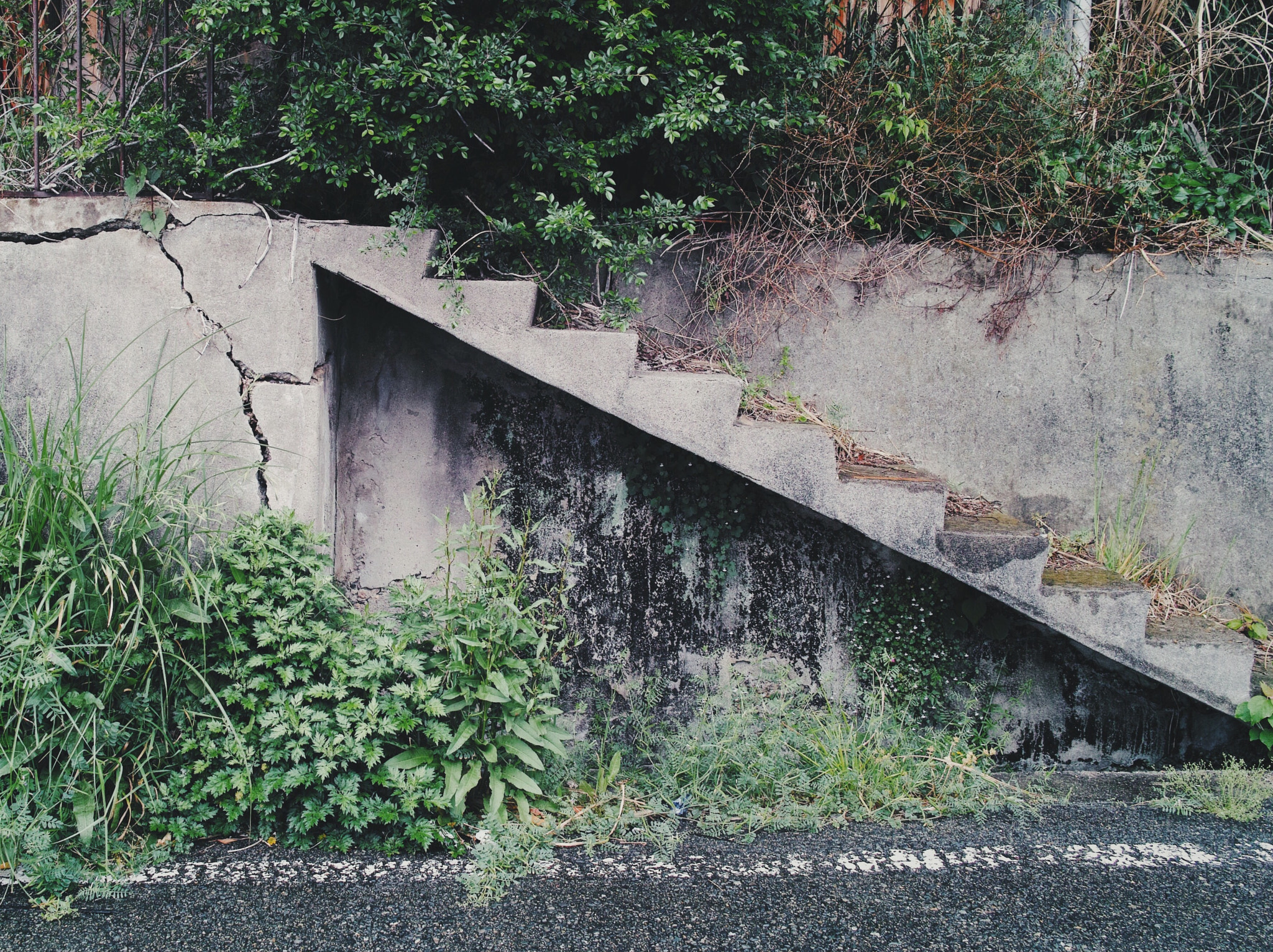 Sigma DP1 Merrill sample photo. Walk around 003 photography