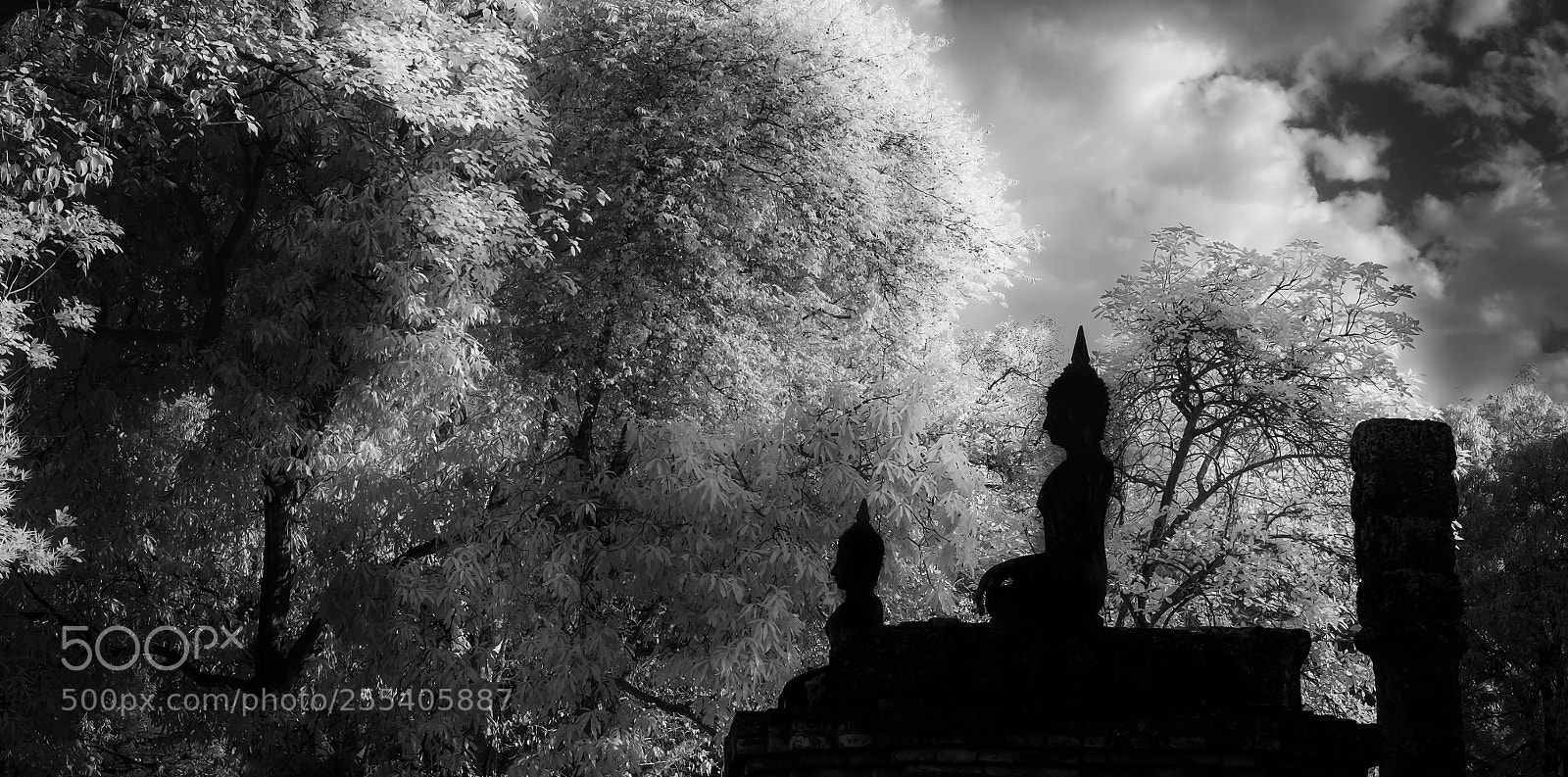 Fujifilm X-E1 sample photo. Silhouettes photography