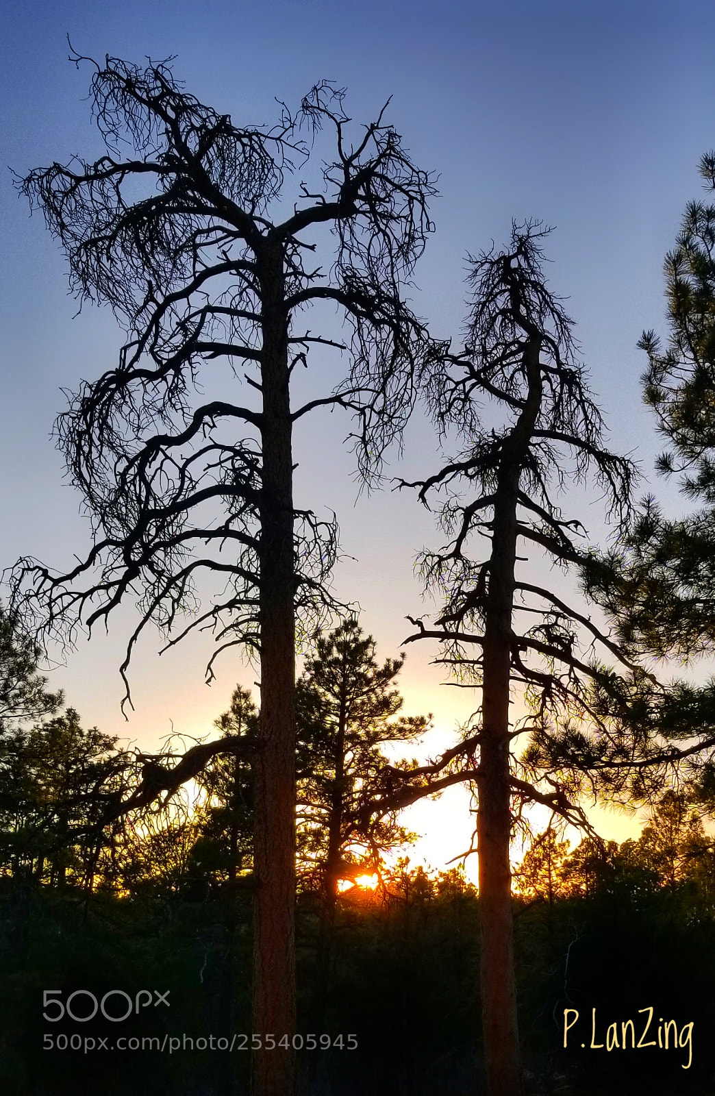 Samsung Galaxy S8+ sample photo. Sunset, devil's canyon, utah photography