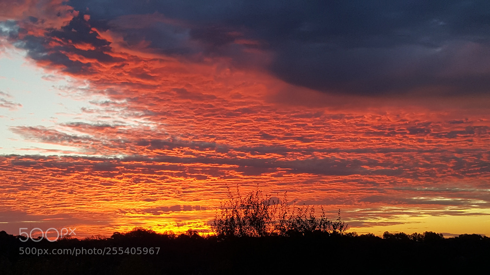 Samsung GALAXY S6 edge sample photo. Dawn photography