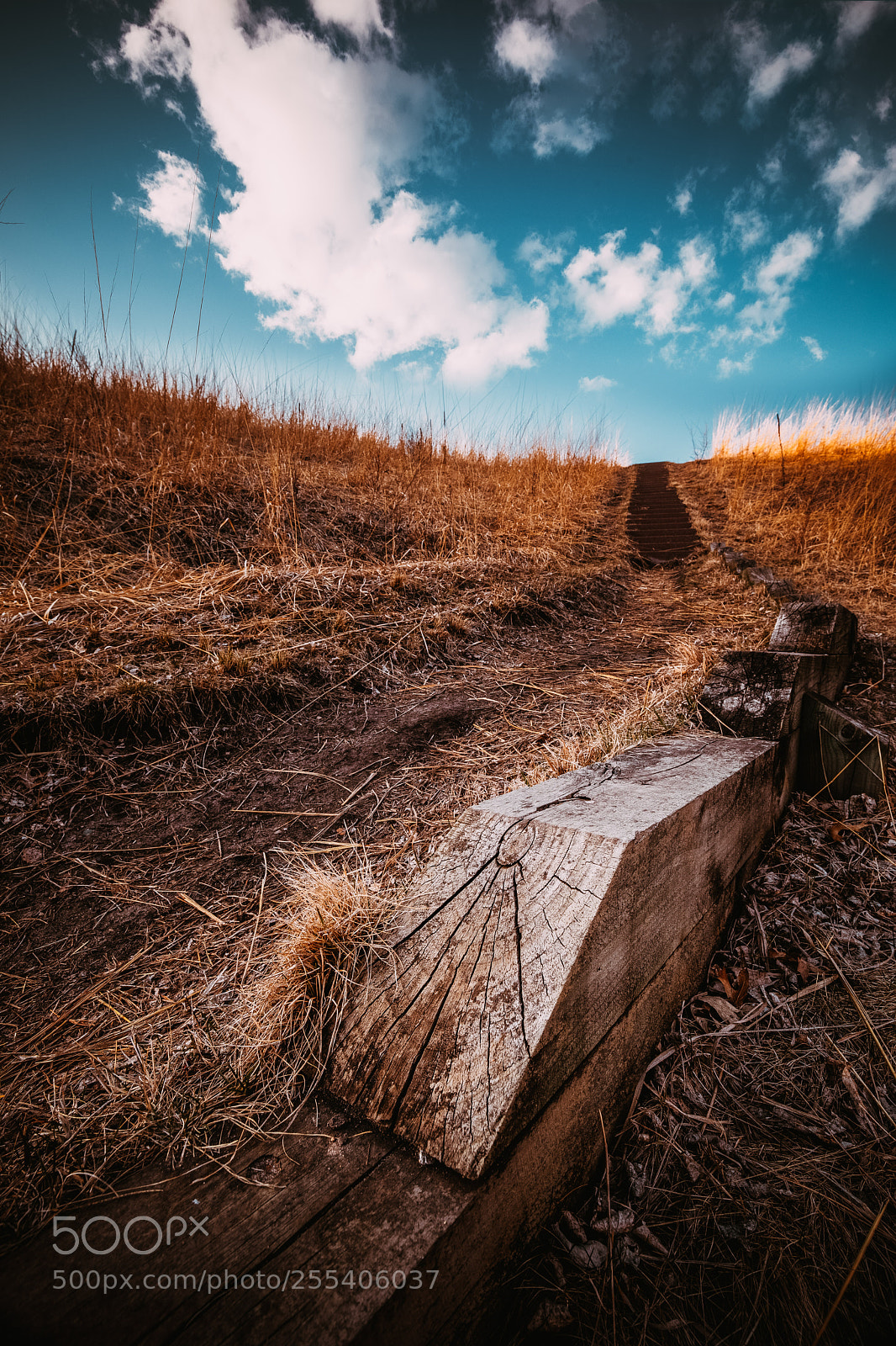 Canon EOS 5D Mark IV sample photo. Route photography