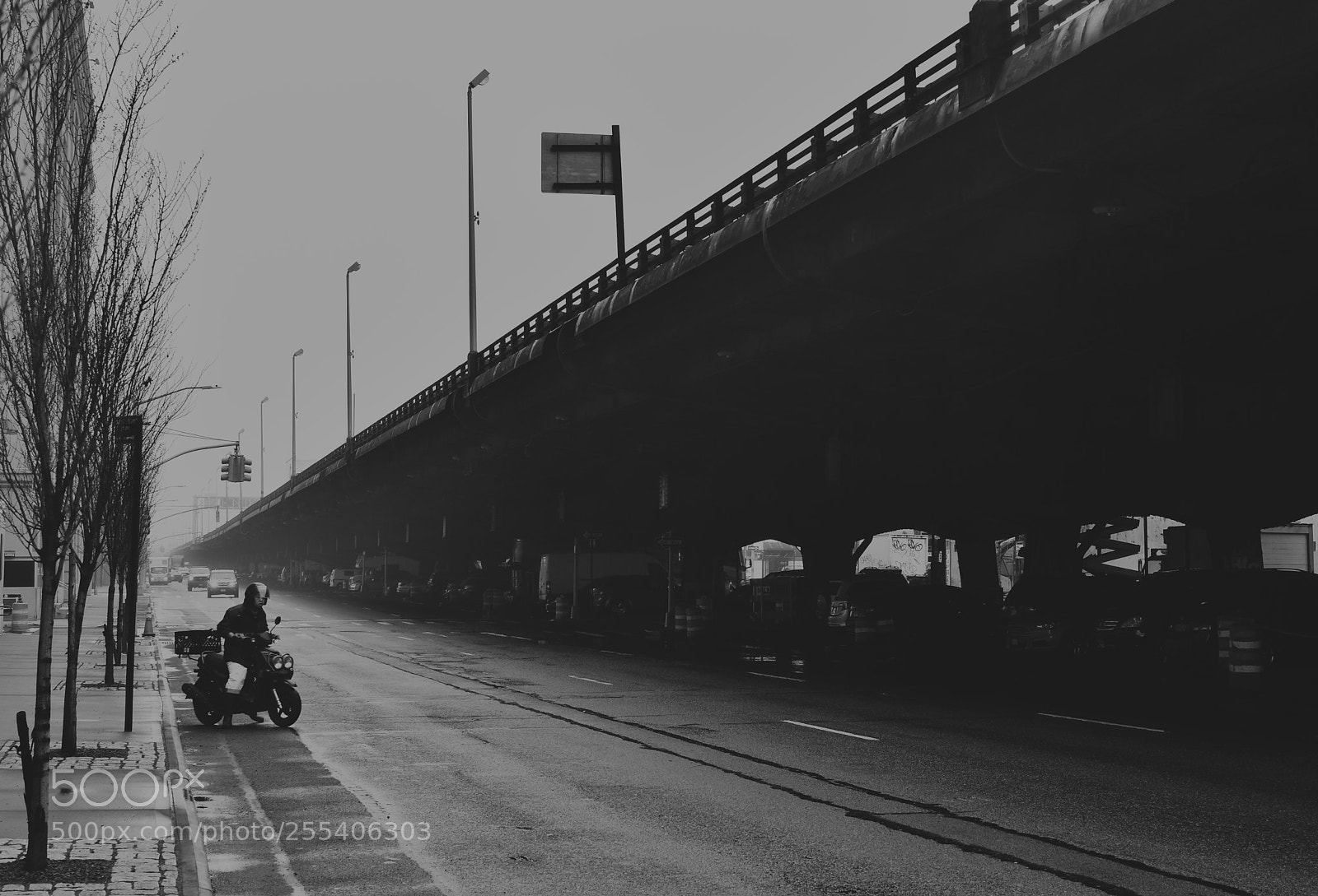 Nikon D5500 sample photo. 3rd ave photography