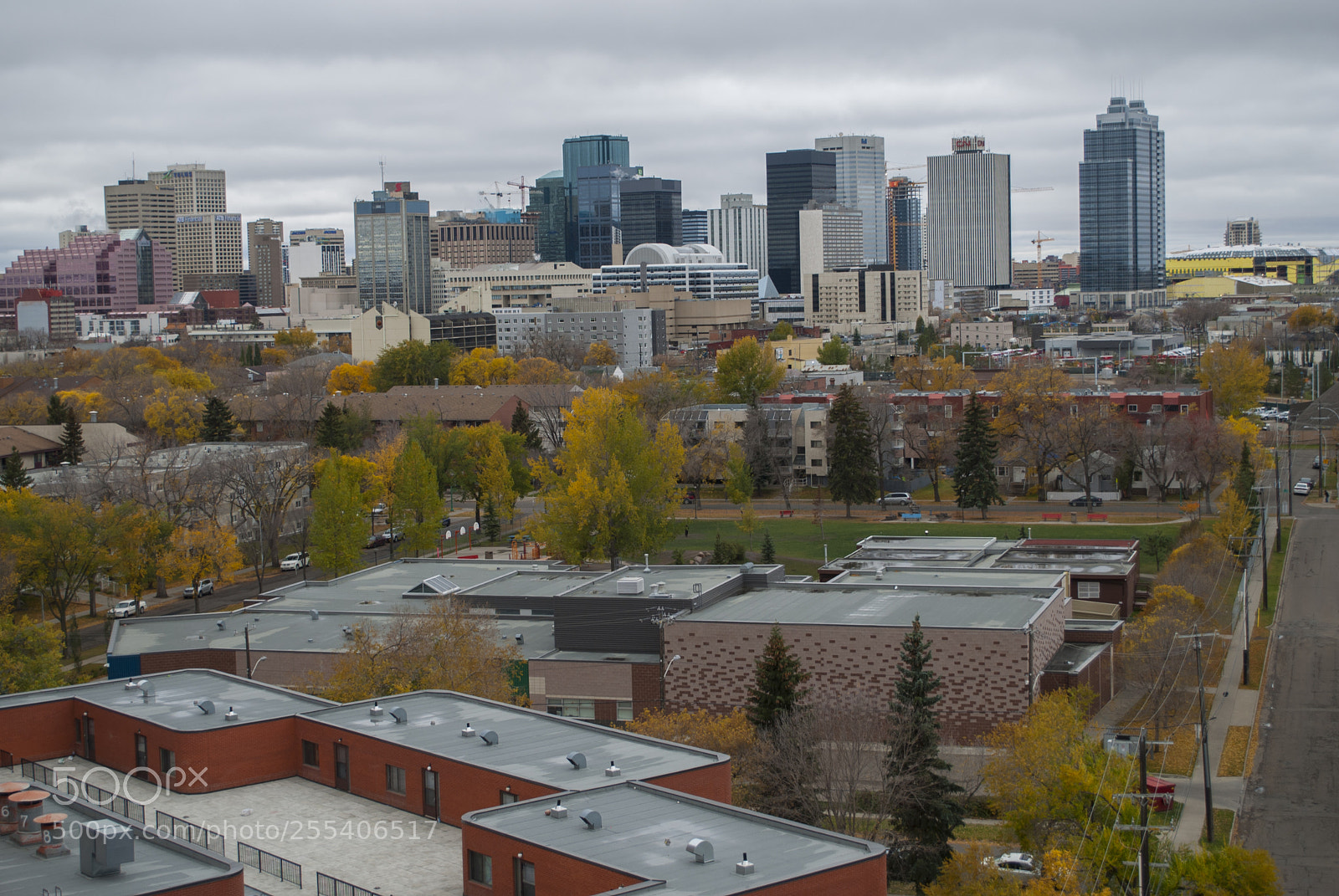 Nikon D60 sample photo. Edmonton 2 photography
