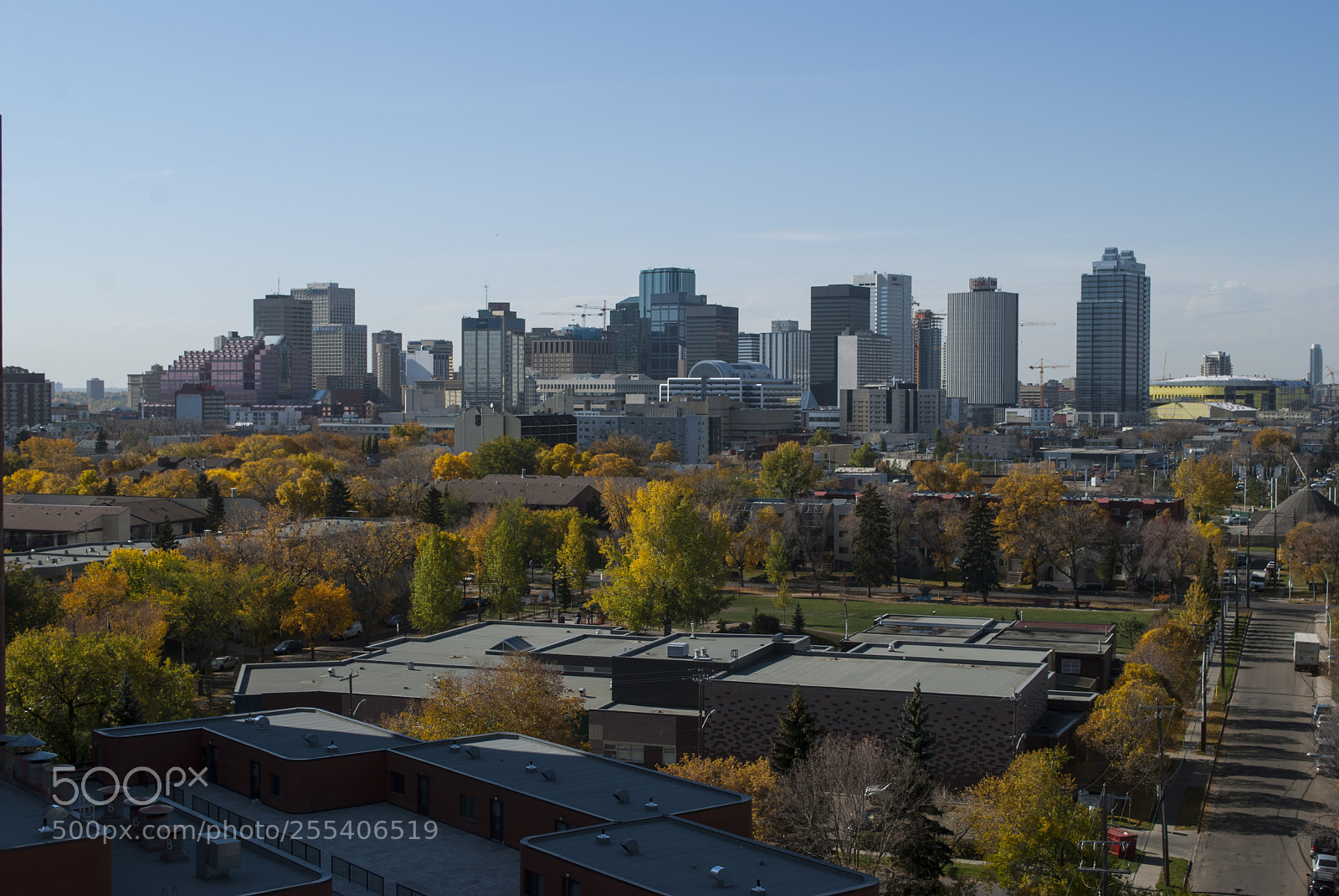 Nikon D60 sample photo. Edmonton 1 photography