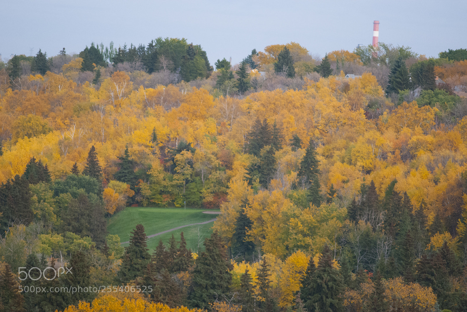 Nikon D60 sample photo. River valley trees photography