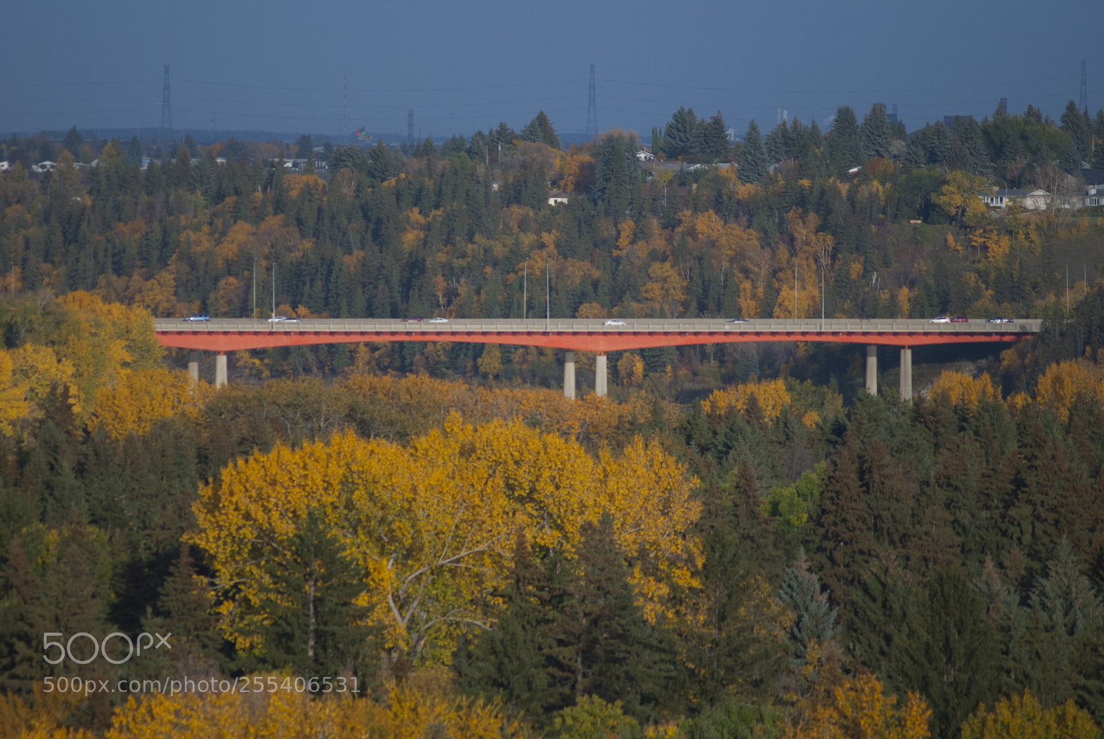 Nikon D60 sample photo. Edmonton capitano bridge photography