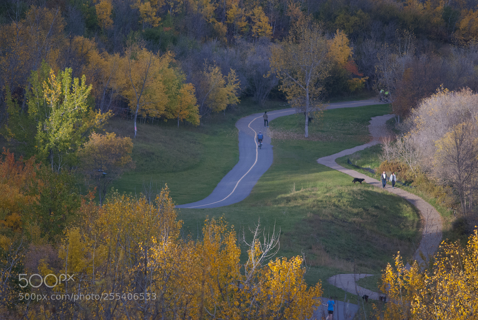 Nikon D60 sample photo. River valley area photography