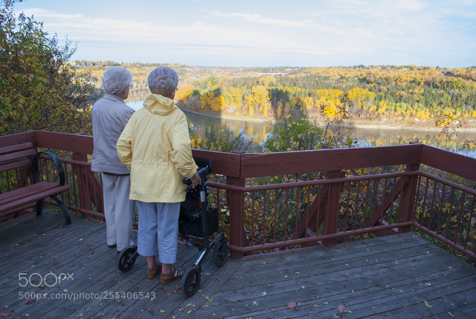 Nikon D60 sample photo. The view of life photography