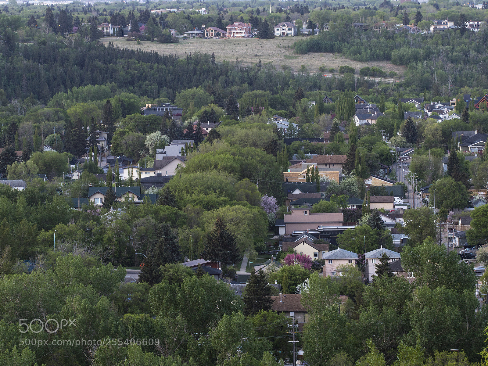 Canon EOS 7D Mark II sample photo. Edmonton photography