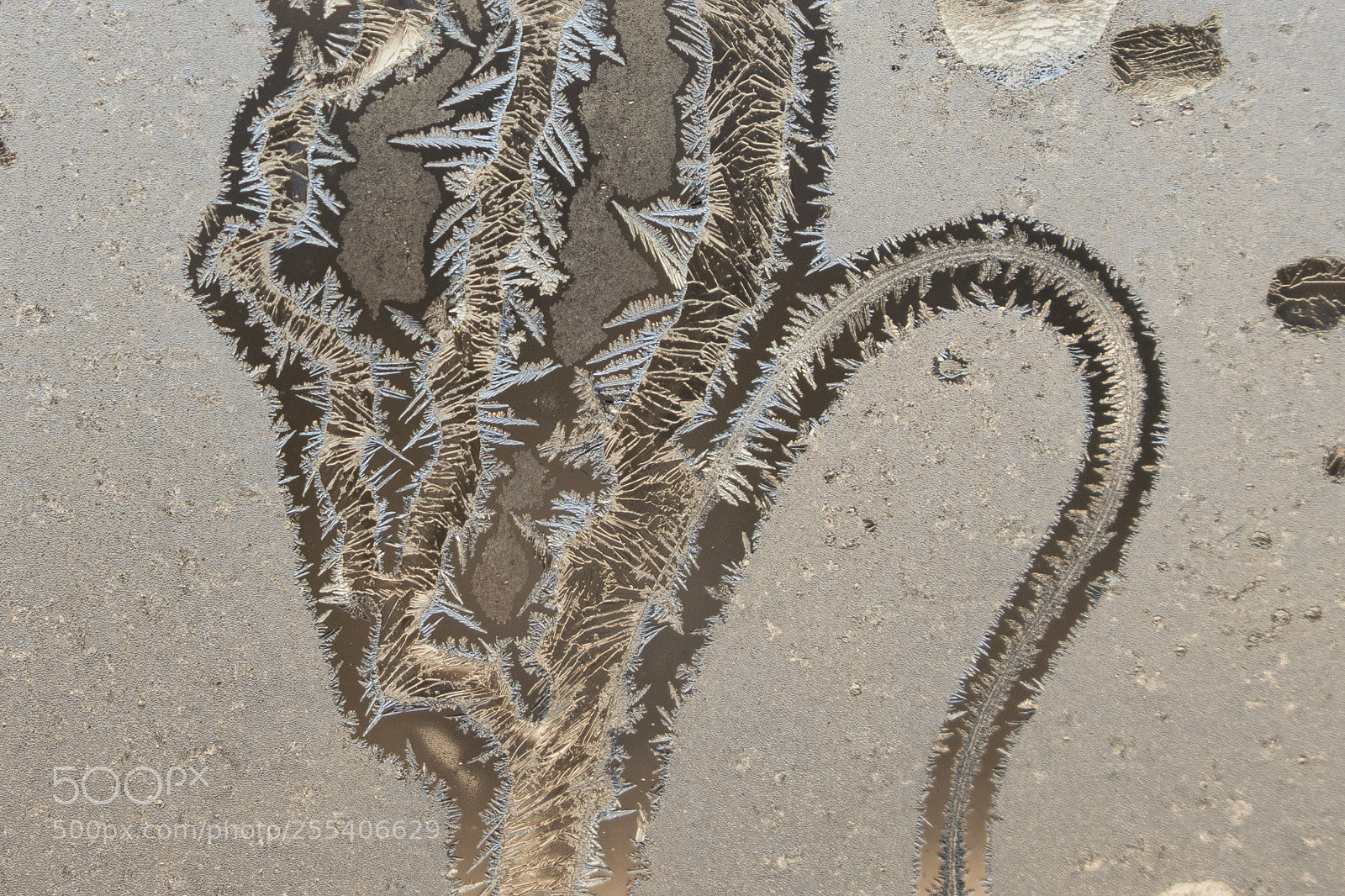 Canon EOS 7D Mark II sample photo. Frozen window edmonton 2 photography