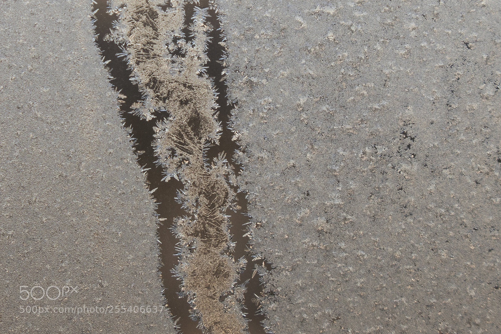 Canon EOS 7D Mark II sample photo. Frozen window edmonton 4 photography