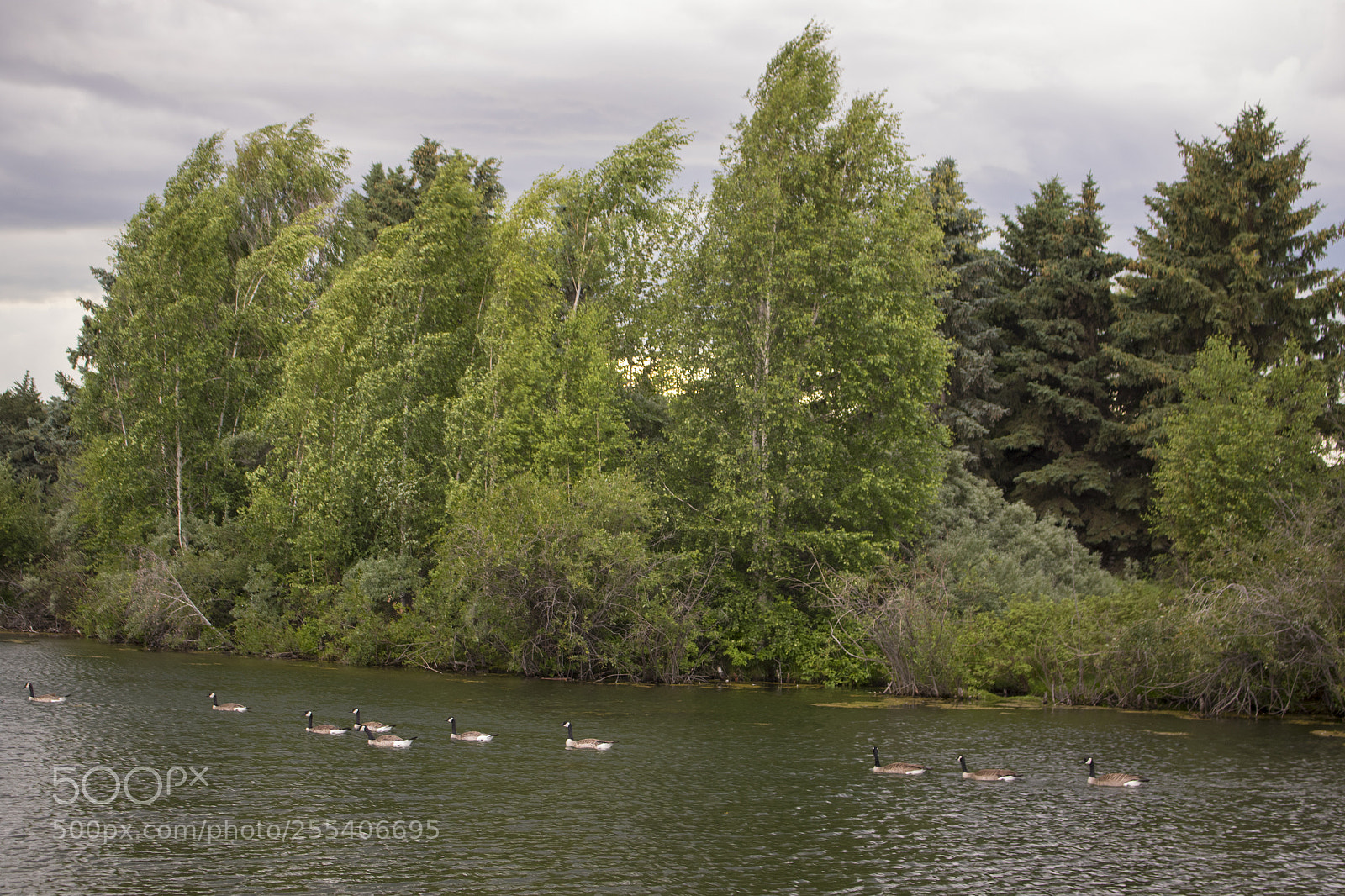 Canon EOS 7D Mark II sample photo. William hawrelak park edmonton 5 photography