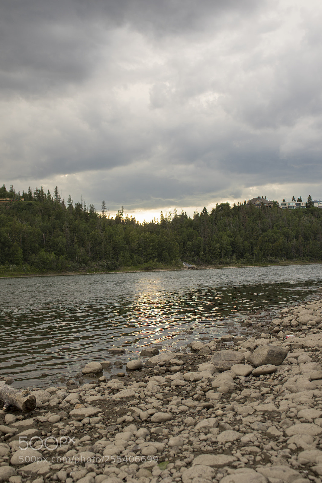 Canon EOS 7D Mark II sample photo. William hawrelak park edmonton 4 photography