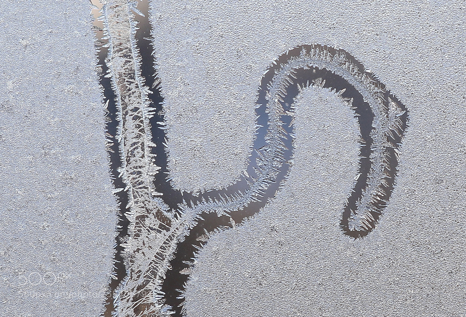 Canon EOS 7D Mark II sample photo. Frozen window edmonton 6 photography