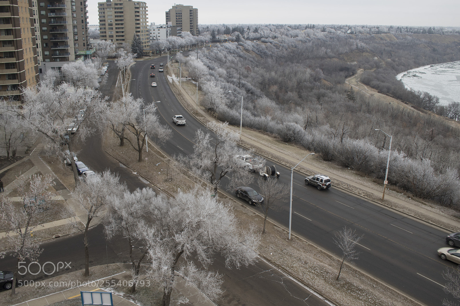 Canon EOS 7D Mark II sample photo. Frozen trees edmonton 9 photography