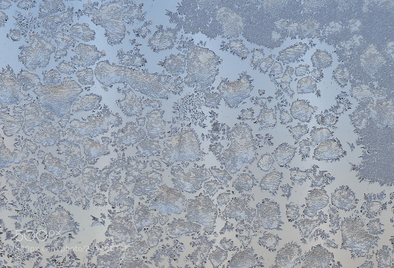 Canon EOS 7D Mark II sample photo. Frozen window edmonton 7 photography
