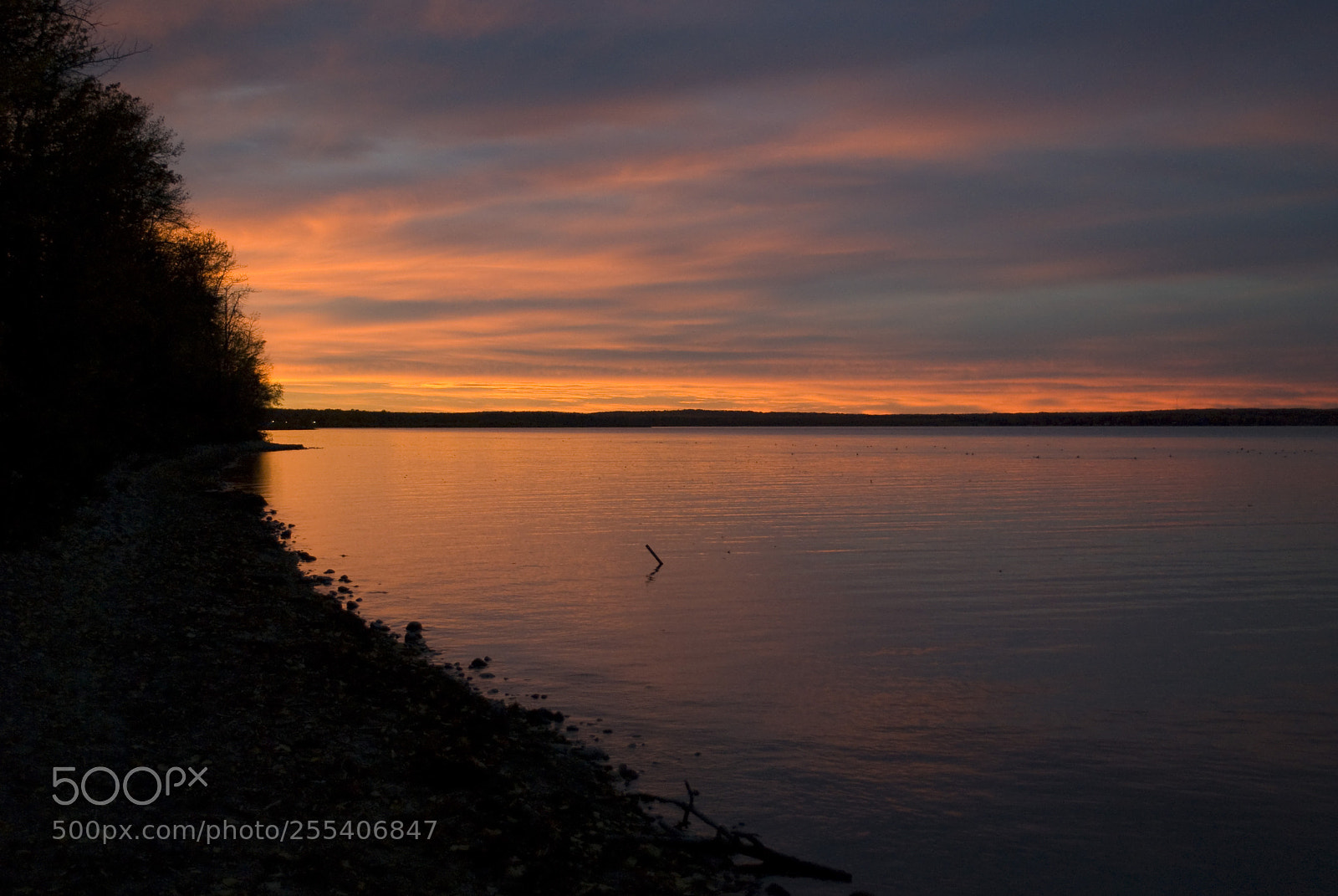 Nikon D60 sample photo. Lake edmonton photography