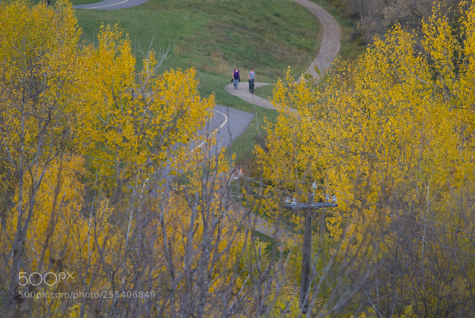 Nikon D60 sample photo. Edmonton fall photography