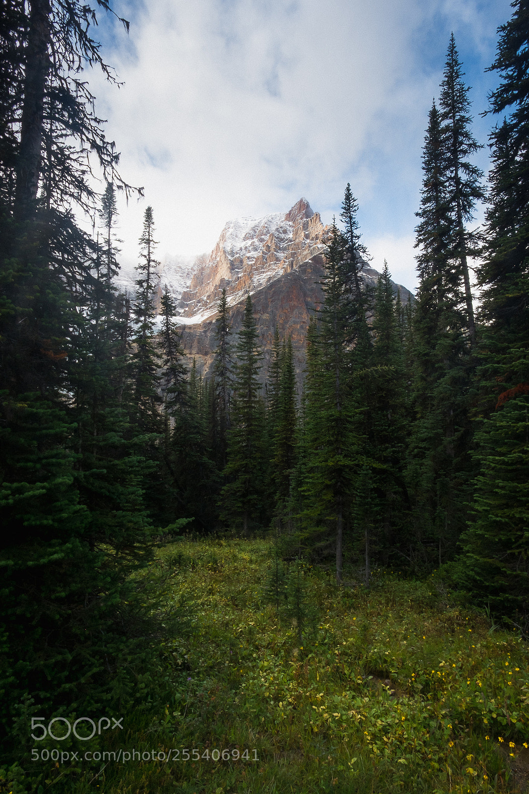 Fujifilm X-E1 sample photo. Mount edith cavell. photography