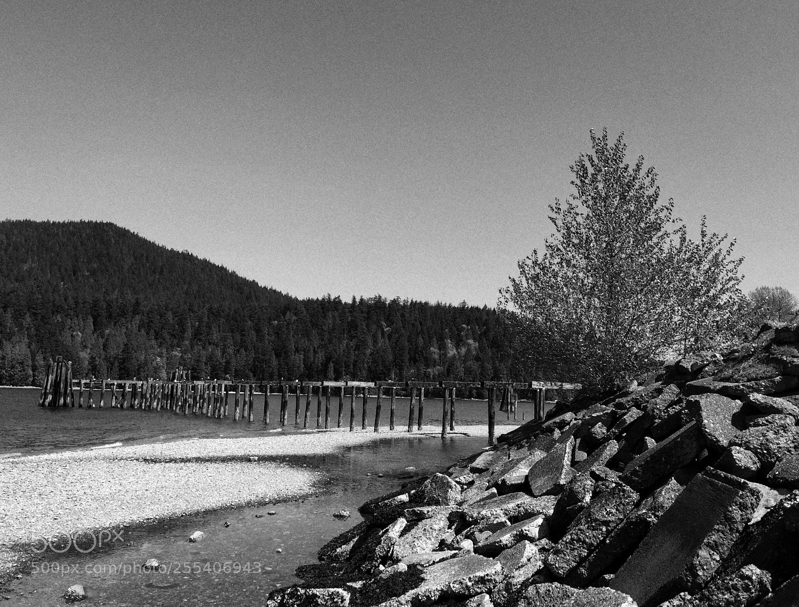 Apple iPhone 6 Plus sample photo. Reminiscence pt. 1 photography