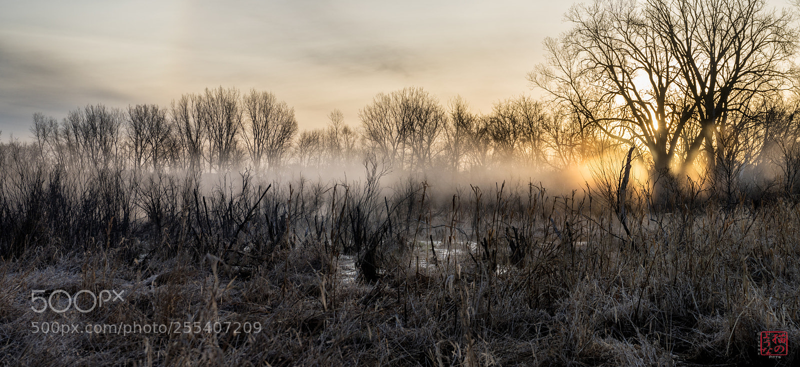 Sony a7 III sample photo. Alien landscape photography