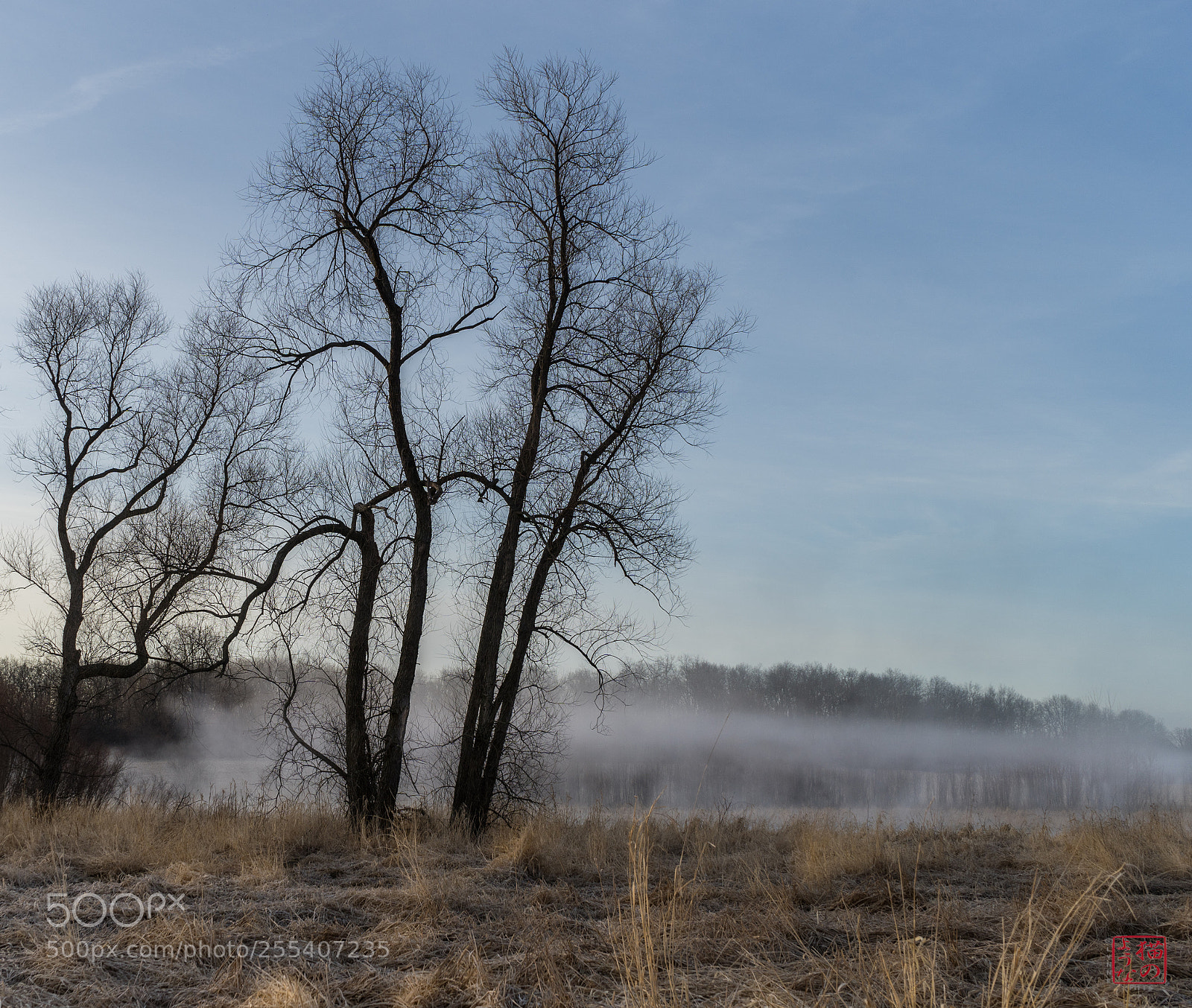 Sony a7 III sample photo. Peace of morning photography