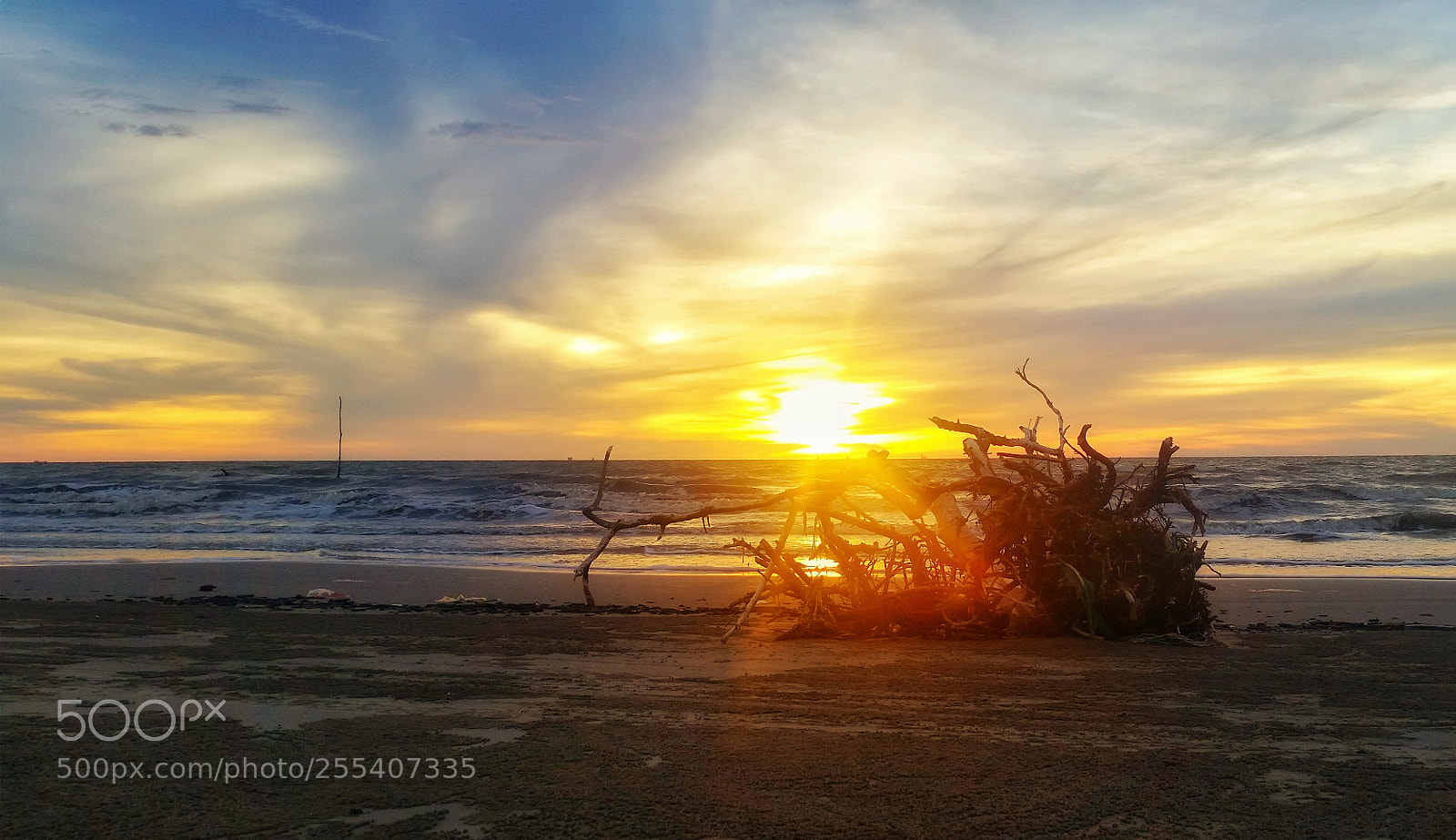 Samsung Galaxy S5 sample photo. Drifted photography