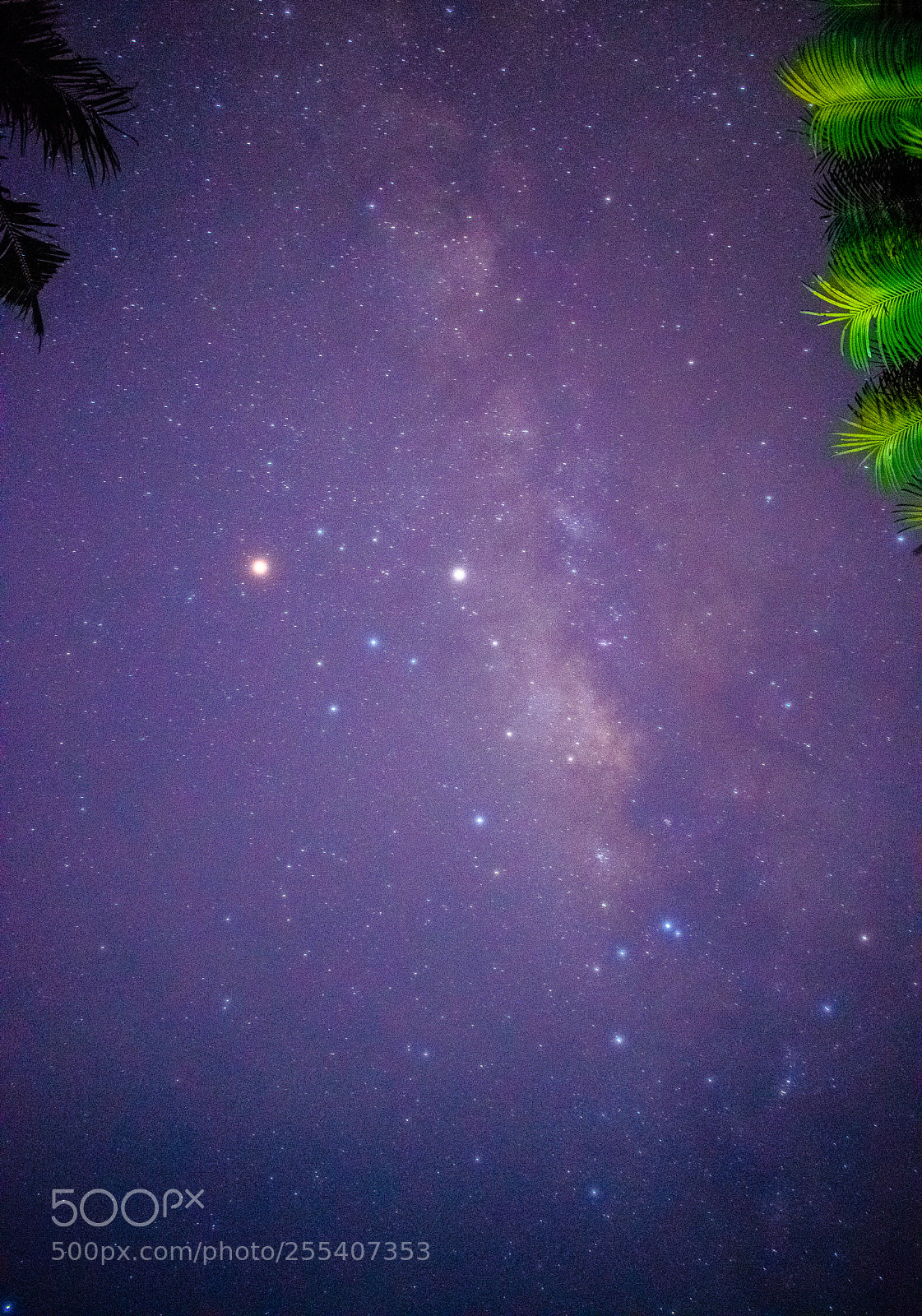 Nikon D3300 sample photo. Dsc photography